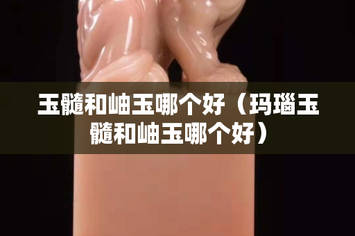 玉髓和岫玉哪个好（玛瑙玉髓和岫玉哪个好）