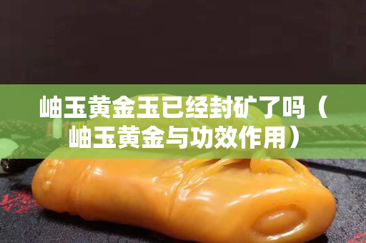岫玉黄金玉已经封矿了吗（岫玉黄金与功效作用）
