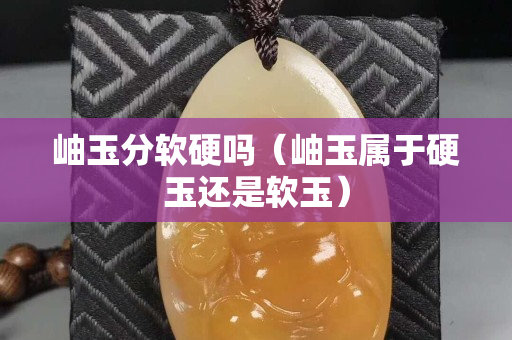 岫玉分软硬吗（岫玉属于硬玉还是软玉）