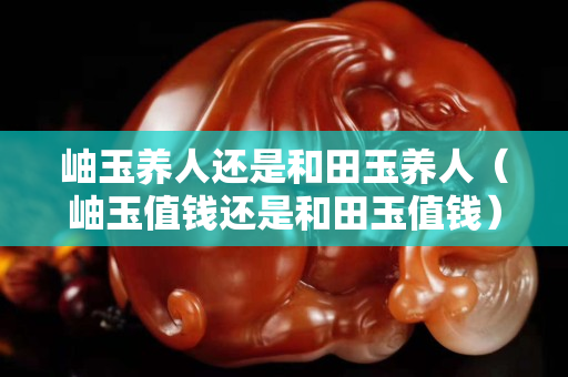 岫玉养人还是和田玉养人（岫玉值钱还是和田玉值钱）