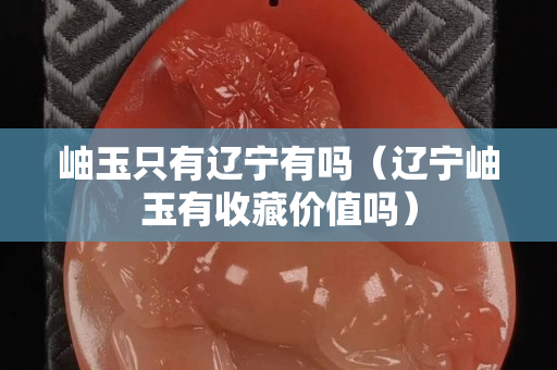岫玉只有辽宁有吗（辽宁岫玉有收藏价值吗）