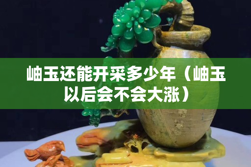 岫玉还能开采多少年（岫玉以后会不会大涨）