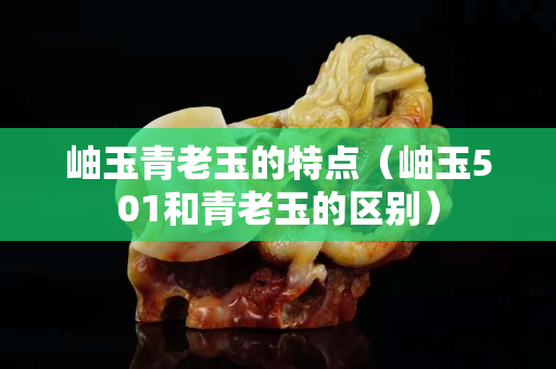 岫玉青老玉的特点（岫玉501和青老玉的区别）