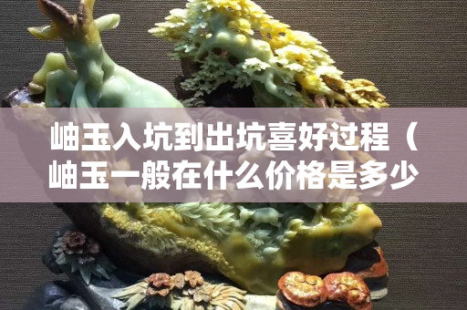 岫玉入坑到出坑喜好过程（岫玉一般在什么价格是多少）