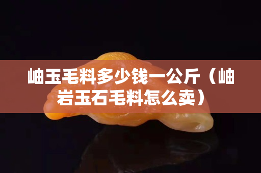 岫玉毛料多少钱一公斤（岫岩玉石毛料怎么卖）