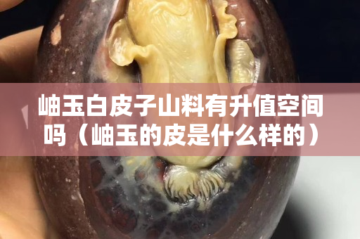 岫玉白皮子山料有升值空间吗（岫玉的皮是什么样的）