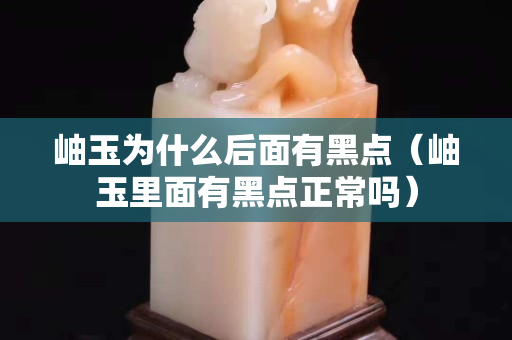岫玉为什么后面有黑点（岫玉里面有黑点正常吗）