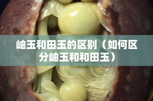 岫玉和田玉的区别（如何区分岫玉和和田玉）