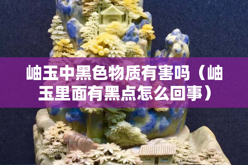 岫玉中黑色物质有害吗（岫玉里面有黑点怎么回事）