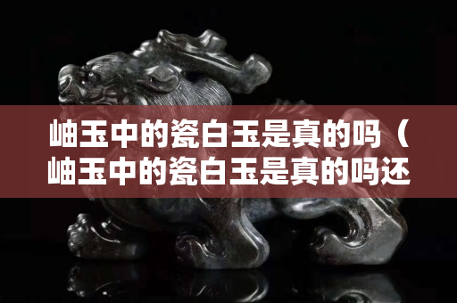 岫玉中的瓷白玉是真的吗（岫玉中的瓷白玉是真的吗还是假的）