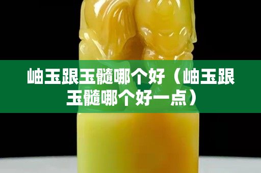 岫玉跟玉髓哪个好（岫玉跟玉髓哪个好一点）