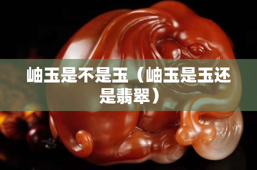 岫玉是不是玉（岫玉是玉还是翡翠）