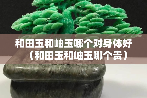 和田玉和岫玉哪个对身体好（和田玉和岫玉哪个贵）