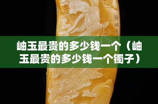 岫玉最贵的多少钱一个（岫玉最贵的多少钱一个镯子）