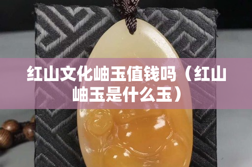 红山文化岫玉值钱吗（红山岫玉是什么玉）