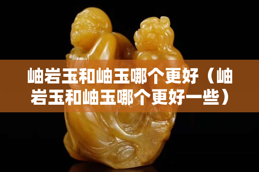 岫岩玉和岫玉哪个更好（岫岩玉和岫玉哪个更好一些）