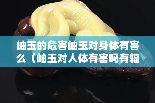 岫玉的危害岫玉对身体有害么（岫玉对人体有害吗有辐射吗）