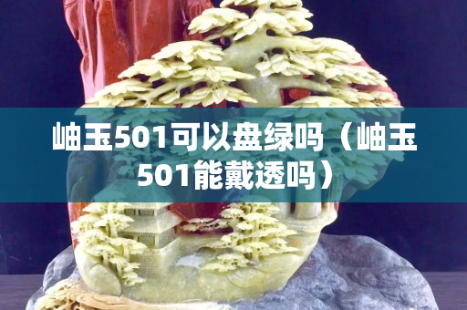 岫玉501可以盘绿吗（岫玉501能戴透吗）