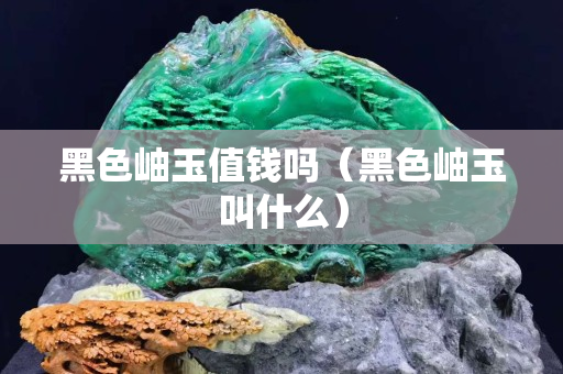 黑色岫玉值钱吗（黑色岫玉叫什么）