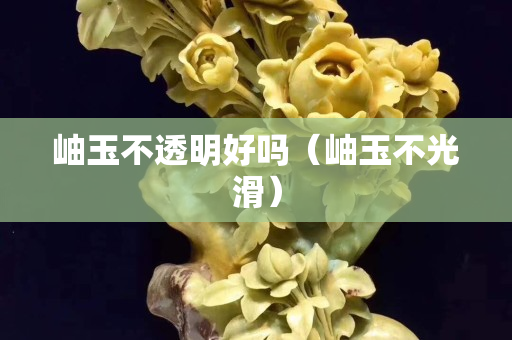 岫玉不透明好吗（岫玉不光滑）
