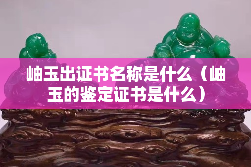 岫玉出证书名称是什么（岫玉的鉴定证书是什么）
