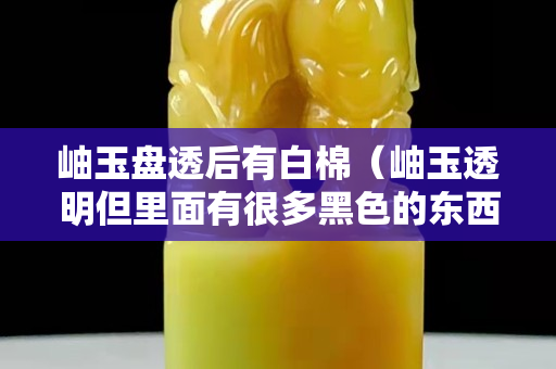 岫玉盘透后有白棉（岫玉透明但里面有很多黑色的东西）