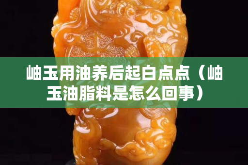 岫玉用油养后起白点点（岫玉油脂料是怎么回事）