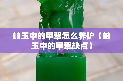 岫玉中的甲翠怎么养护（岫玉中的甲翠缺点）