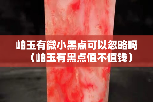 岫玉有微小黑点可以忽略吗（岫玉有黑点值不值钱）