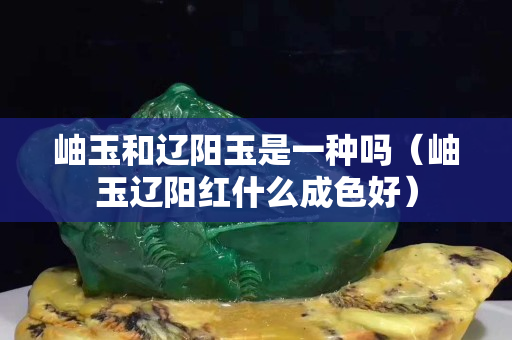 岫玉和辽阳玉是一种吗（岫玉辽阳红什么成色好）