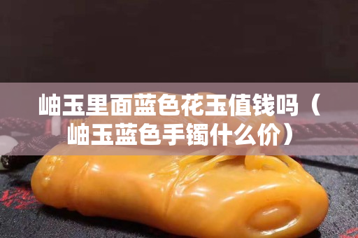 岫玉里面蓝色花玉值钱吗（岫玉蓝色手镯什么价）