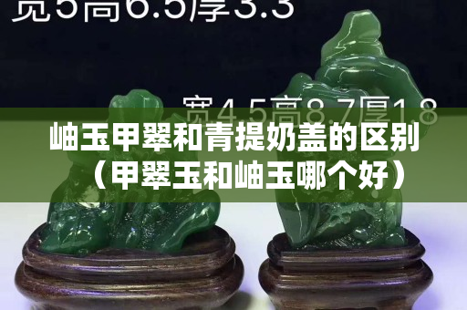 岫玉甲翠和青提奶盖的区别（甲翠玉和岫玉哪个好）