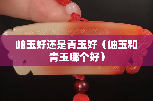 岫玉好还是青玉好（岫玉和青玉哪个好）