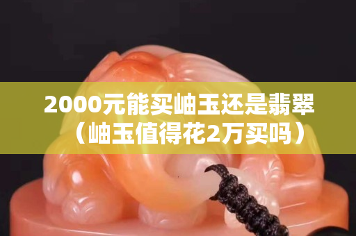 2000元能买岫玉还是翡翠（岫玉值得花2万买吗）