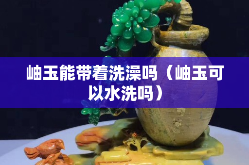 岫玉能带着洗澡吗（岫玉可以水洗吗）