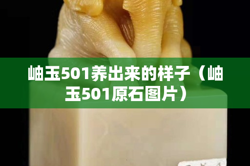 岫玉501养出来的样子（岫玉501原石图片）