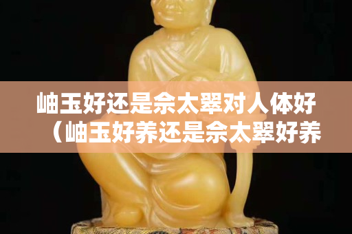 岫玉好还是佘太翠对人体好（岫玉好养还是佘太翠好养）