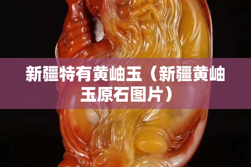 新疆特有黄岫玉（新疆黄岫玉原石图片）