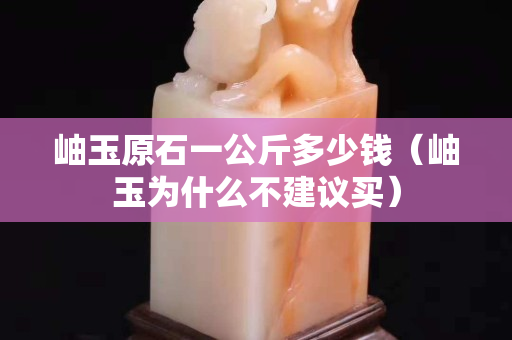 岫玉原石一公斤多少钱（岫玉为什么不建议买）