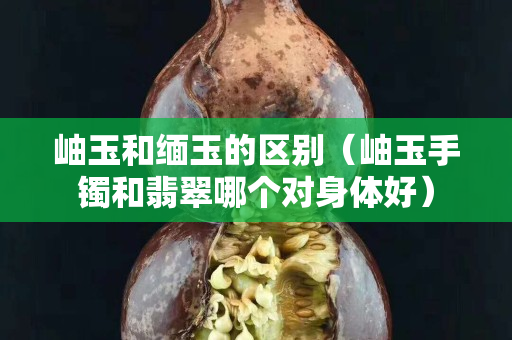 岫玉和缅玉的区别（岫玉手镯和翡翠哪个对身体好）