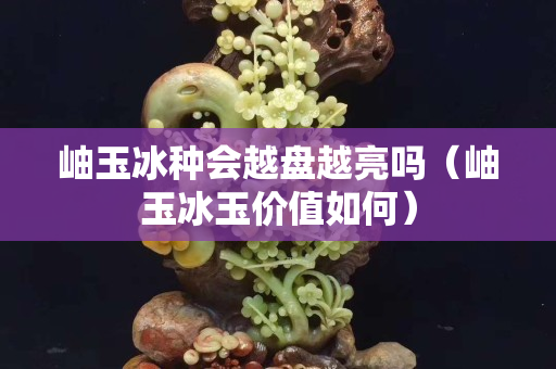 岫玉冰种会越盘越亮吗（岫玉冰玉价值如何）
