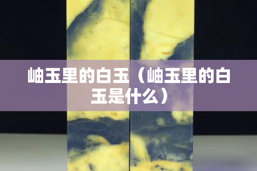 岫玉里的白玉（岫玉里的白玉是什么）