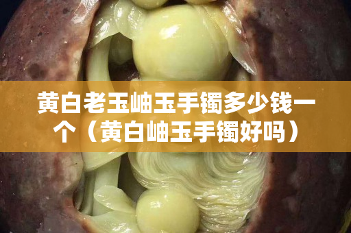 黄白老玉岫玉手镯多少钱一个（黄白岫玉手镯好吗）