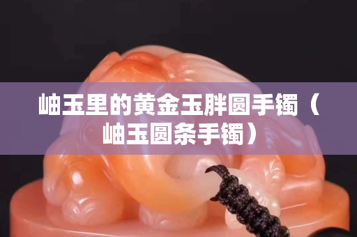 岫玉里的黄金玉胖圆手镯（岫玉圆条手镯）