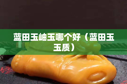蓝田玉岫玉哪个好（蓝田玉玉质）