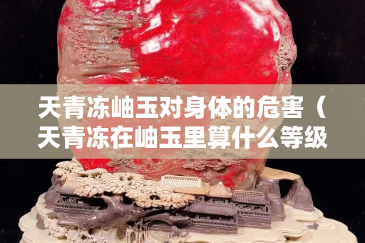 天青冻岫玉对身体的危害（天青冻在岫玉里算什么等级）