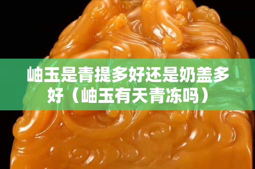 岫玉是青提多好还是奶盖多好（岫玉有天青冻吗）