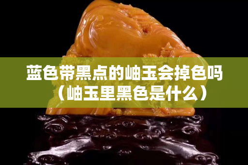 蓝色带黑点的岫玉会掉色吗（岫玉里黑色是什么）