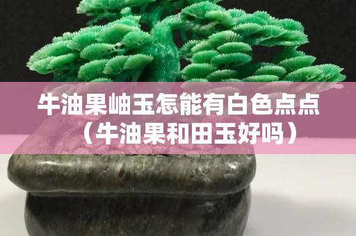 牛油果岫玉怎能有白色点点（牛油果和田玉好吗）