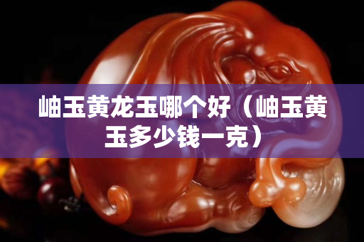 岫玉黄龙玉哪个好（岫玉黄玉多少钱一克）
